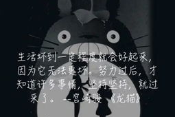 触动人心的动漫语录,唤醒内心深处的共鸣